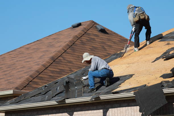Best Roof Ventilation Installation  in Waller, TX